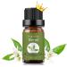 Sedbuwza Neroli Essential Oil Pure Organic Neroli Fragrance Oil for Diffuser Humidifier Soap Candle Perfume Neroli 0.33 Fl Oz (Pack of 1)