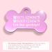Personalized Bone-Shaped Pendants for Dogs & Cats | Ibera Gifts - Custom Engraved Collars & Neck Bands (Pink) - Buy Online on GoSupps.com