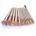 Buy 14 Champagne Gold Makeup Brush Set - Eyebrow & Loose Powder Brushes | Premium Beauty Tools - Buy Online on GoSupps.com