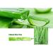 YiKiMira Aloe Vera Gel for Facial Care Anti Acne Treatment Scar Removal Face Cream Soothing & Whitening Moisturizing for men and woman (Aloe Vera Gel) - Buy Online on GoSupps.com