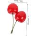 Zerodeko 10pcs Artificial Cherry Fake Cherries Fruit Cognitive Toy Home Kitchen Fruit Decoration Photo Props Fruits Cake Topper Faux Cherries Cherry Tomatoes Child Plastic Kitchen Cabinet - Buy Online on GoSupps.com