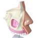Nasal Cavity Model - Nose Anatomical Model - for Medical Research Doctor Patient