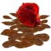 SunGrow Catappa Indian Almond Leaves - Create Tropical Rainforest Environment for Betta & Gouramis - Boost Health & Water Quality - 50 Leaves - Buy Online on GoSupps.com
