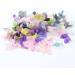 Vanchief 100 Pcs 3D Colorful Dried Flowers - Nail Art Decoration Supplies for DIY Crafts & Jewelry - Buy Online on GoSupps.com