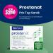 NaturAvignon Prostanat Laboratory | Prostate Urinary Comfort Physical Performance | Saw Palmetto + Squash Seeds + Ginseng | Made in France | 60 Capsules (1 Month) - Buy Online on GoSupps.com