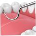 Buy Bafnsiji Stainless Steel Toothpick Cartridge Set - 5 Reusable Tartar Removal Cleaners | Portable Dental Care Kit for Healthy Teeth - Buy Online on GoSupps.com