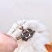 nuoshen 30 Pcs Chew Sticks for Cats Catnip Sticks Cat Sticks Cat Chew Toy Cat Teething Toys Natural Wood Sticks for Cats Play and Relax - Buy Online on GoSupps.com