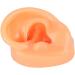 Flexible Silicone Left Ear Model for Realistic Earwax Removal Simulation - Buy Online on GoSupps.com
