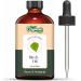 Birch (Betula) Oil | Pure & Natural Essential Oil for Skincare Hair Care Aroma & Diffusers - 118ml/3.99fl oz