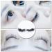 8 Pairs 25mm Waterproof False Eyelashes - Premium Eyelash Extensions for Stunning Eye Makeup - Buy Online on GoSupps.com