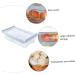 RORPOIR 1pc Refrigerator Storage Basket Clear Fridge Storage Container Fridge Food Keeper White re-usable - Buy Online on GoSupps.com