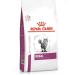ROYAL CANIN Renal Feline Cat Food 4 kg Variety 4 kg (Pack of 1)