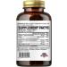 oppuland - Activated Folate-L 5-MTHF DFE Supplement - Methylfolate B9 MTHF with Vitamin B12 CoQ10 & Red Raspberry - Methylated L-Methylfolate for Men and Women - 500 mcg - 90 Veggie Capsules - Buy Online on GoSupps.com