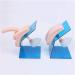 Internal & External Portable Genital Catheterization Simulation Model - Training Aid for Medical Professionals - Buy Online on GoSupps.com