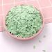 NIANTU108 50g/lot 5mm Cactus Slice Polymer Clay Sprinkles for Slimes Plastic Tiny Mud Particles DIY Nail Art Decoration Crafts Gift (Color : Cactus) - Buy Online on GoSupps.com