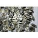 500g 150 Natural Black Ghost Crystal Bone Double End Specimens JZIGTDEM - Buy Online on GoSupps.com