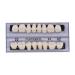 Dental Synthetic Resin Tooth Denture Set - 168 Pcs, 22 A2 Upper Lower Shade, Halloween Horror Teeth - Buy Online on GoSupps.com