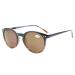 Eyekeper Schluesselloch style Springschanier round bifocal sunglasses sun reader black and turtle +2.5 +2.50 black-turtle