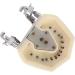 ZCBYBT Dental Preparation Model - 28 Replaceable Oral Practice Teeth & Soft Gums | International Shipping Available - Buy Online on GoSupps.com