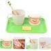 Buy Beavorty Learning Toothbrush Toys for Early Teething | Pedagogical Tooth Cleaning Model for Preschool - Buy Online on GoSupps.com