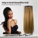 Sunnacate Height Adjustable Braiding Hair Rack 360 Rotatable Hair Rack with 120-Pegs Hair Divider Rack for Braiding Hair Extension Holder Stand for Stylists Braiding Supplies Tools Barber Shop - Buy Online on GoSupps.com