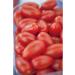 Buy Kiepenkerl 393 San Marzano Tomato Seeds - Premium Quality for International Shipping - Buy Online on GoSupps.com
