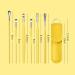 Ear Wax Removal Kit - Ear Pick & Curette Set with Leather Case - Buy Online on GoSupps.com