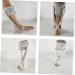 Buy FRCOLOR Night Splint for Plantar Fasciitis | Fixed Support Plantar Brace for Right Foot | Orthotic Foot Support | 33x24.5cm Grey - Buy Online on GoSupps.com