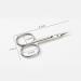 Craft Scissors Cuticle Scissors Nail Cuticle Clippers Trimmer Dead Skin Remover Steel Professional Nail Art Tools Cutter Scissors - Buy Online on GoSupps.com