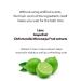 Q Dan Shower Bar - Moisturizing Body Soap for Sensitive & Dry Skin | Korean Herbs & Natural Oils | 3.5 oz Citrus Scent - Buy Internationally - Buy Online on GoSupps.com