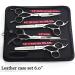 Professional 6/6.5 Inch Hair Scissors Set - Hairdressing & Thinning Scissors (4 Pieces) - International Shipping Available - Buy Online on GoSupps.com