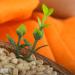 S ssundclever.de Bio Nakedhafer - Germinable Organic Oats (4 x 1kg) | Plastic-Free Eco Packaging | Imported from Germany - Buy Online on GoSupps.com
