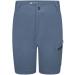 Dare 2b Unisex Reprise II Short Pants - 15 Years | Orion Grey | International Shipping Available - Buy Online on GoSupps.com
