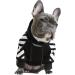 Trendy Dog Coat for Small Breeds | Fashion Hoodie & Winter Jacket for Schnauzers Corgis French Bulldogs & More - Buy Online on GoSupps.com