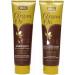 Hair Care Rejuvenating Argan Oil Intensive Hydrating Treatment & Dermatologically Tested Shampoo and Conditioner Sets. 3-Pack Argan Oil Shampoo and Conditioner & Argan Oil Hair Treatment. 3-Pack Shampoo Conditioner and Hair Treatment - Buy Online on GoSupps.com