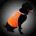 Villcase High Visibility Reflective Safety Vest for Dogs - Breathable Fluorescent Orange Summer Clothing for Walking Running Hiking - Size L - Buy Online on GoSupps.com