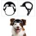Cool Dog Motorcycle Helmet - Adjustable Pet Helmet for Small & Medium Dogs | Safe Bicycle Gear with Ear Holes - Buy Online on GoSupps.com