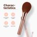 Anmor Premium Rose Gold Powder Brush #8113-01 | Fluffy Soft Bronzer Brush for Professional Even Application - Aluminum Tube Handle, Nano-Fiber Bristles - Buy Online on GoSupps.com