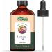Lantana (Lantana Camara) Oil | Pure & Natural Essential Oil for Skincare & Massage - 118ml/3.99fl oz