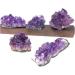 100g Natural Raw Amethyst Quartz Purple Crystal Cluster Stones Specimen Home Crafts Decoration Ornament Crafts JZIGTDEM (Color : Amethyst Cluster Size : 20-40g) 20-40g Amethyst Cluster - Buy Online on GoSupps.com