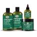 Buy Difeel Rosemary & Mint Biotin 4-PC Box Set | Shampoo Conditioner Hair Mask & Oil for Healthier Hair - International Shipping Available - Buy Online on GoSupps.com