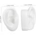 Buy 10 Pairs Artificial Ear Models - Realistic Silicone Display for Studs | International Shipping - Buy Online on GoSupps.com