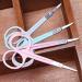 Kitchen Scissors Professional Scissor Manicure for Nails Eyebrow Nose Eyelash Cuticle Scissors Curved Pedicure Makeup Tool - Buy Online on GoSupps.com