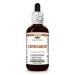 Cinnamon (Cinnamomum Verum) Dry Bark Glycerite Made in Hawaii All Natural Vegan Lab Tested Alcohol-Free Liquid Extract - 2 fl.oz 2 Fl Oz (Pack of 1)