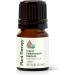 Plant Therapy Organic Helichrysum Essential Oil (Italicum) 2.5 mL (1/12 oz) 100% Pure Undiluted USDA Certified Organic Great for Skincare Diffusion and Aromatherapy - Buy Online on GoSupps.com