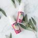 Wine Away Red Wine Stain Remover Spray - Best Fabric & Carpet Cleaner - Removes Wine Spots - Odorless - 2 oz Set of 3 - Shop Internationally - Buy Online on GoSupps.com