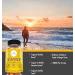 Premium Vitamin D3 Gummies - 2000 IU for Healthy Bones, Mood & Immune System - 60 Gummies - Buy Online on GoSupps.com