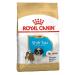 Royal Canin Shih Tzu Puppy | 1.5 kg | Dry food for Shih Tzu puppies | to support coat and digestion | for dogs up to 10 months old