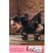 Pollen Burst Combo - Energizing Superfood for Natural Health | Fast International Shipping - Buy Online on GoSupps.com