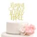 Young Wild & Three Cake Topper Happy 3rd Birthday Cake Decor Boys or Girls Third Birthday Party Decorations Gold Glitter